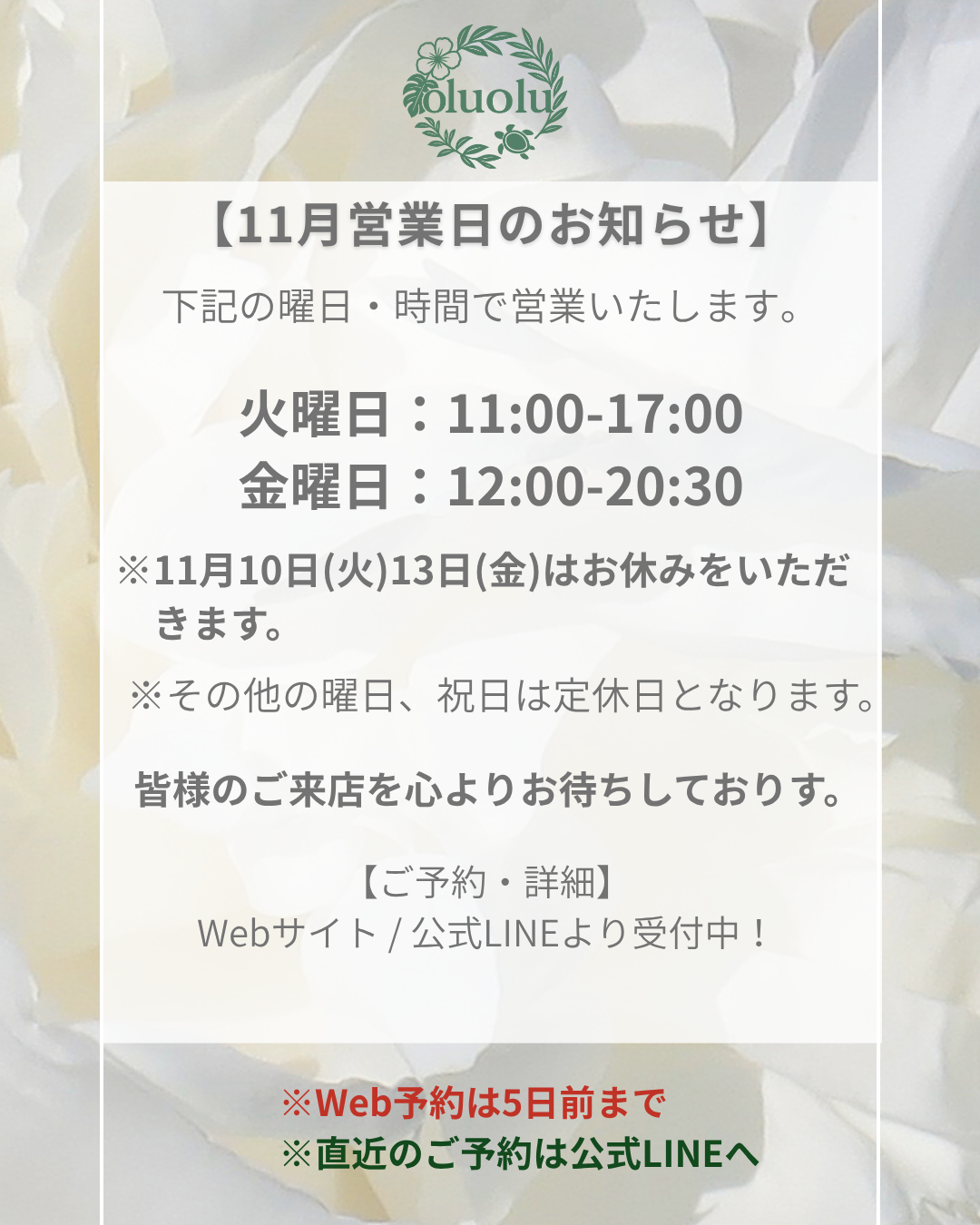 【東京アイドレナージュサロンoluolu】１１月の営業日のお知らせ